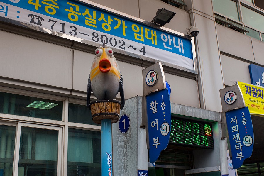 Факты, Фото и немного Текста (Южная Корея)